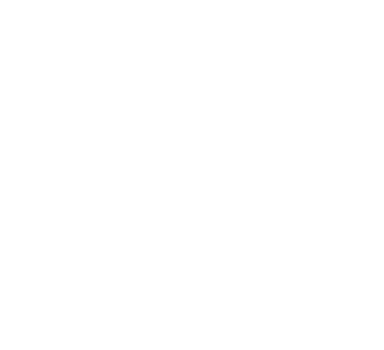 CENSELC - Seguridad Inteligente